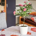 2 Klenk Διαμέρισμα Gruibingen