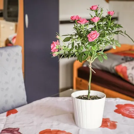 2 Klenk Apartmán Gruibingen